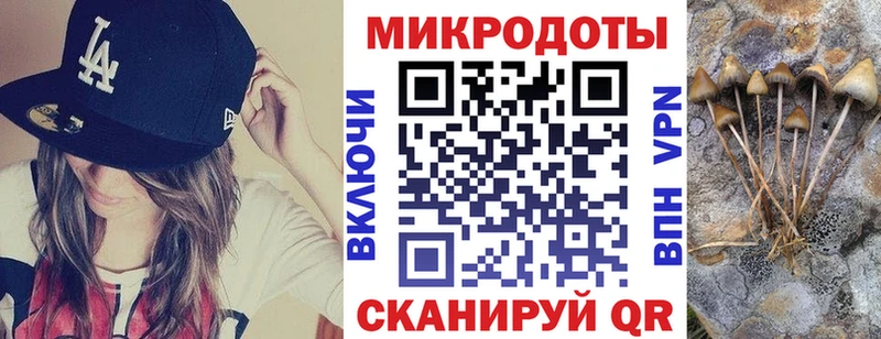 Галлюциногенные грибы Psilocybine cubensis  mega ссылки  Буйнакск 