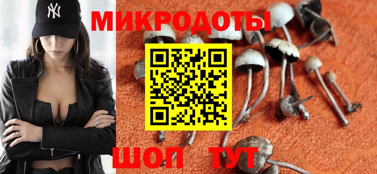 Псилоцибиновые грибы GOLDEN TEACHER  Галлюциногенные грибы Magic Shrooms  Буйнакск  Вход с VPN 