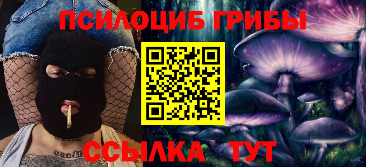 Галлюциногенные грибы MAGIC MUSHROOMS Буйнакск