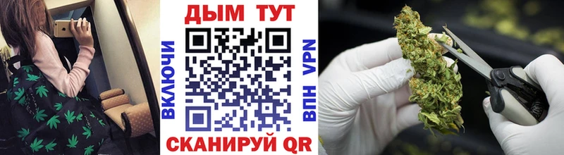 купить  сайты  Буйнакск  Конопля планчик 